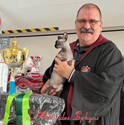 Béziers Cat Club d'Occitanie spéciale sphynx